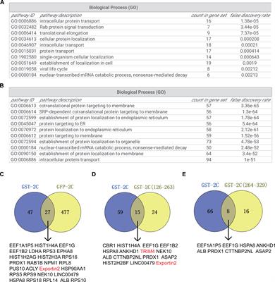 Elucidating the Host Interactome of EV-A71 2C Reveals Viral Dependency Factors